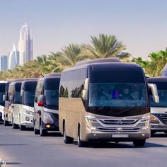 UAE Customs Clearance For Vehicle Imports: Best Practices